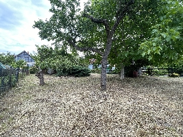 IMG_9178.JPG
