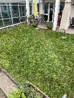 Terrasse.JPEG