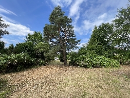 IMG_9214.JPG