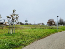 Foto 4.jpg