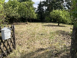 IMG_9187.JPG