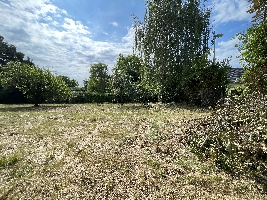 IMG_9189.JPG