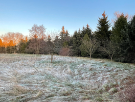 10 - Außenansicht Gartenbereich.png