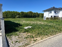 Foto 5.jpg