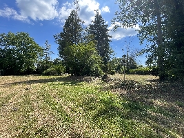 IMG_9250.JPG