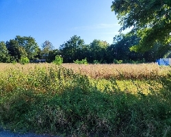 Bild 2.jpg