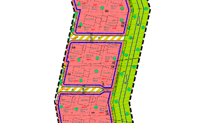 Büschelesfeld II